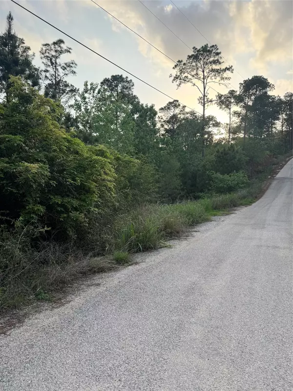 Bastrop, TX 78602,Lot 1386 N Pahihi DR