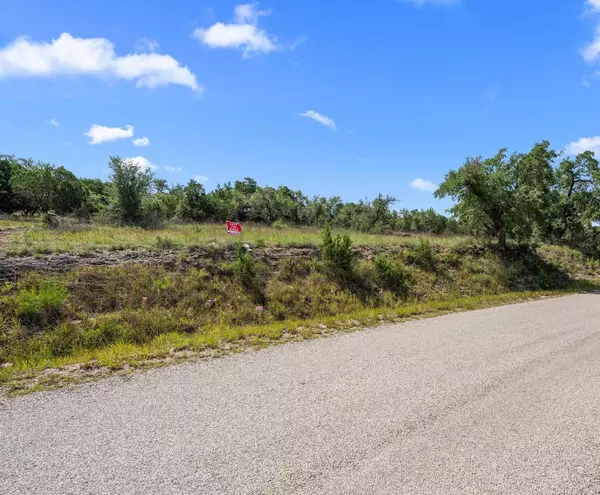 Dripping Springs, TX 78620,Lot D (Subdivided) Mirela Ann RD