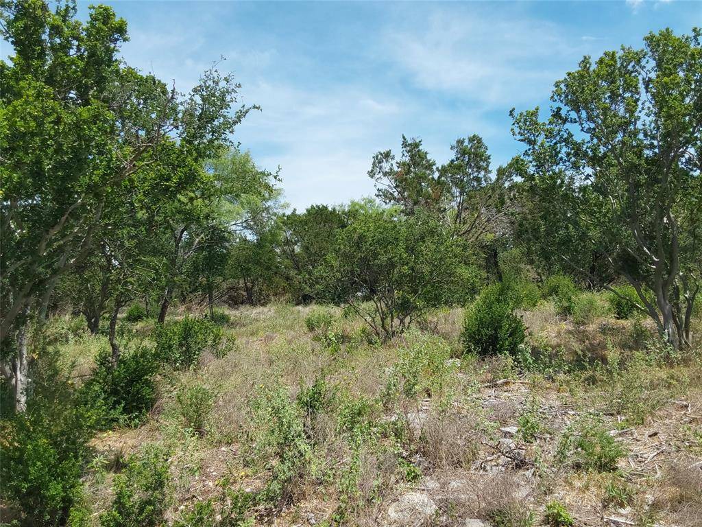 Spicewood, TX 78669,313 EAGLE BASIN CIR