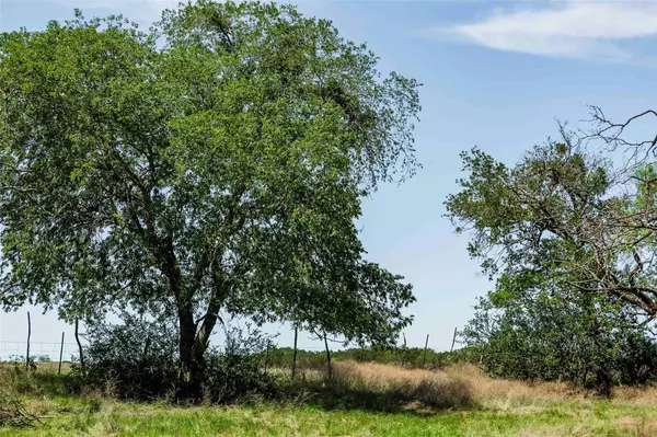 Burnet, TX 78611,TBD Tract 2 County Road 203