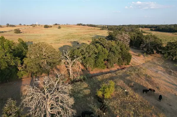 Thorndale, TX 76577,TBD Tract 2 County Road 449