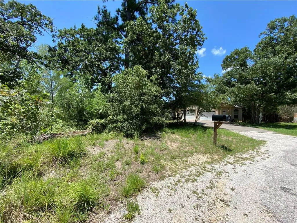 Bastrop, TX 78602,LOT 1734 N Kanaio Dr DR