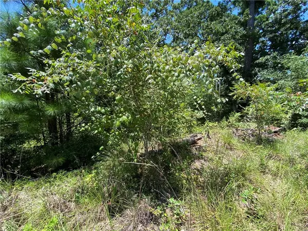 Bastrop, TX 78602,LOT 1734 N Kanaio Dr DR