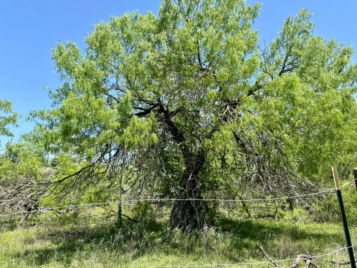 Lockhart, TX 78644,TBD Acorn RD #3