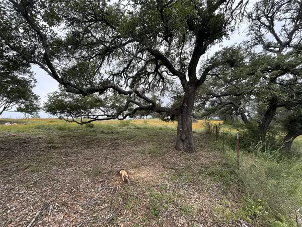 Kingsland, TX 78639,Lot 29 High Range DR