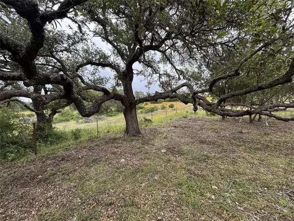 Kingsland, TX 78639,Lot 29 High Range DR