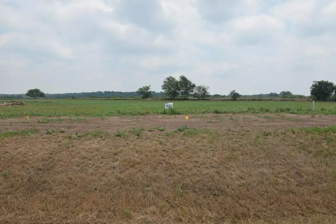 Smithville, TX 78957,Lot 11 Hydrangea DR