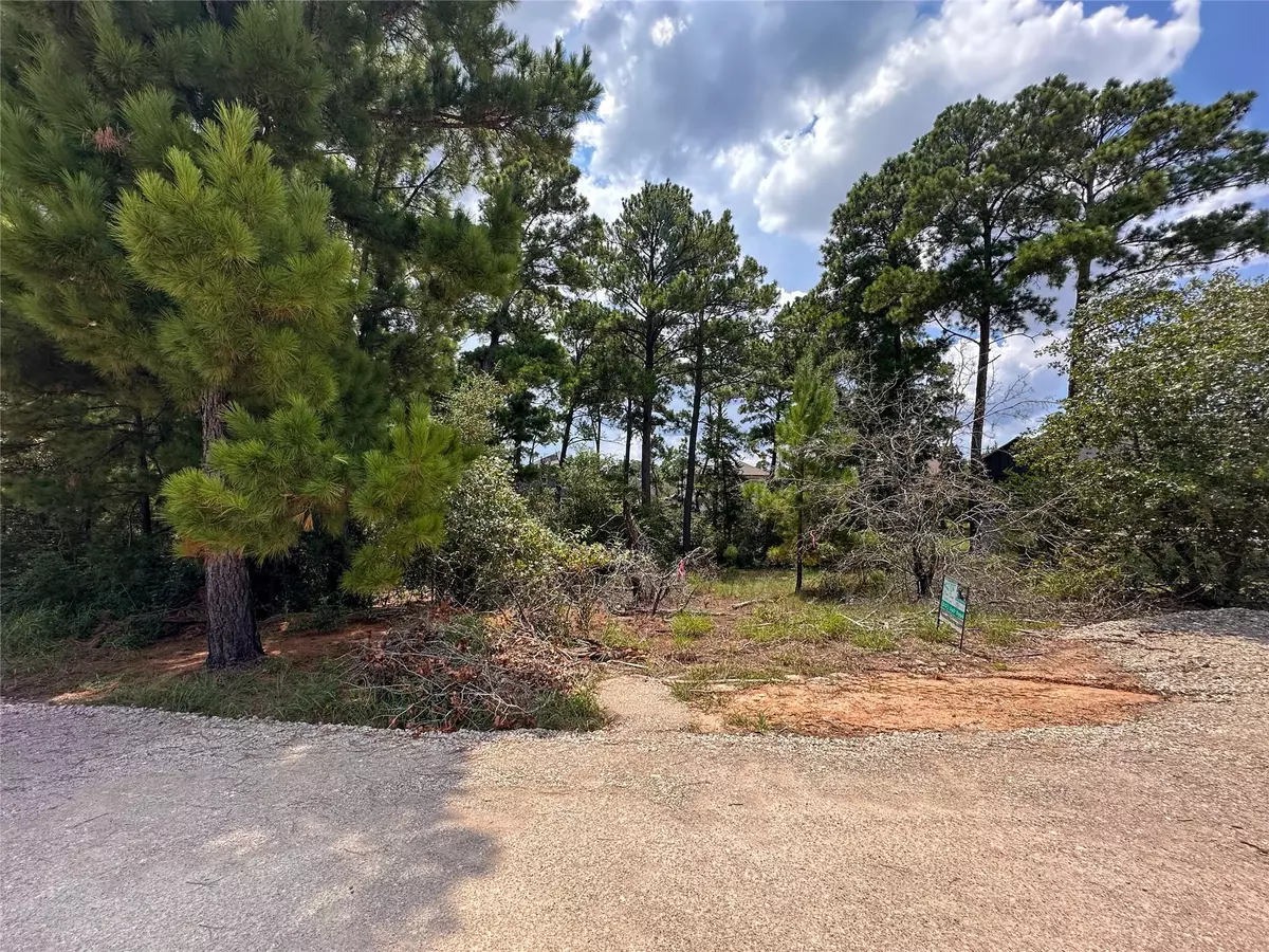 Bastrop, TX 78602,117 Mokolii CT