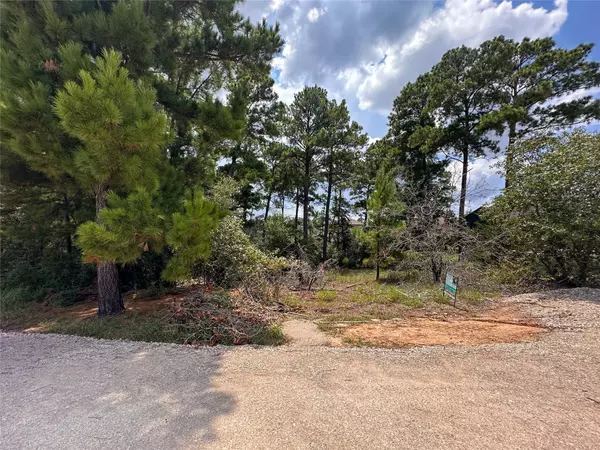 117 Mokolii CT,  Bastrop,  TX 78602