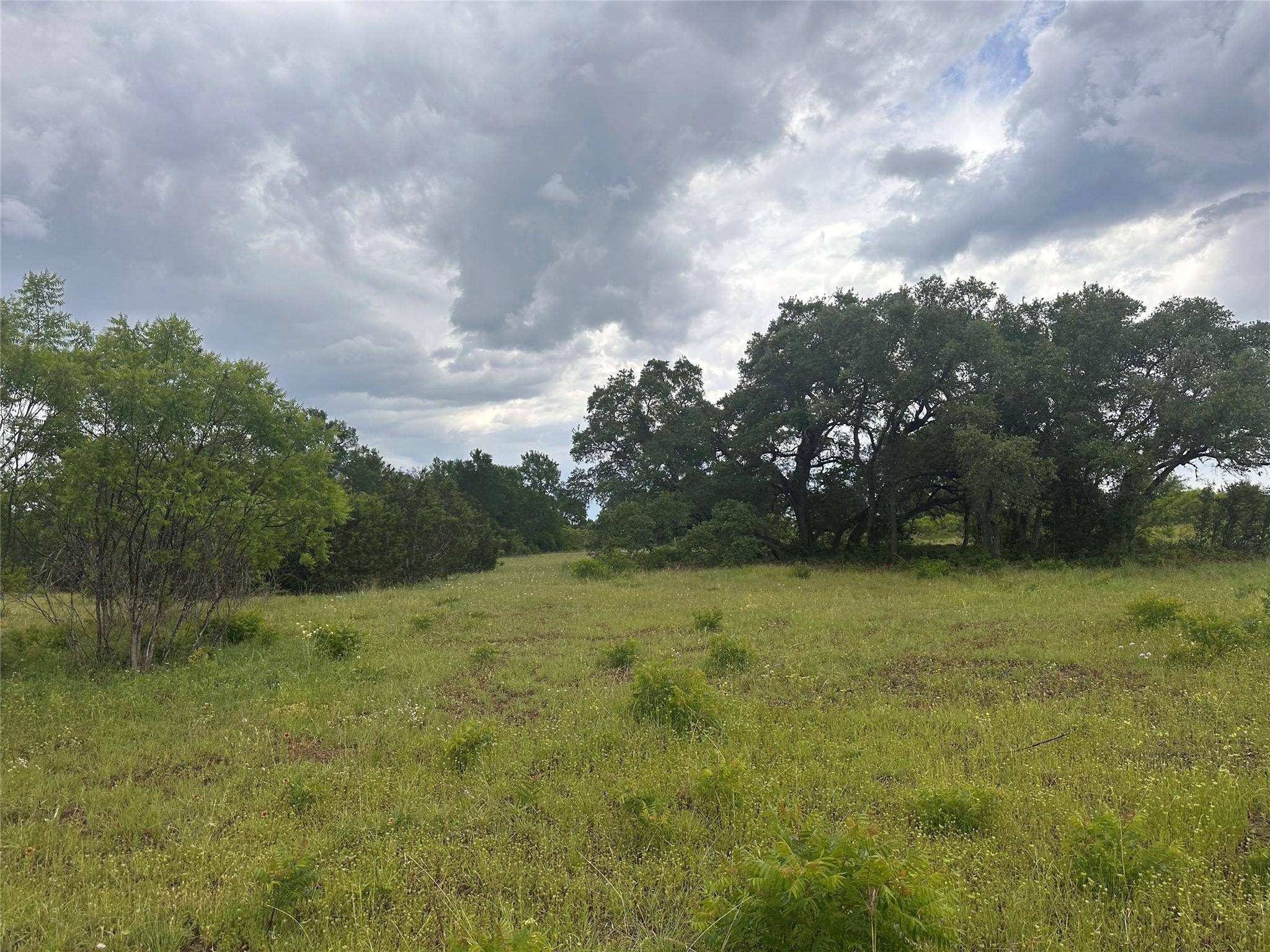 Liberty Hill, TX 78642,Lot 81 Kasen CIR