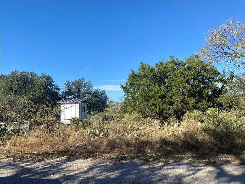 Granite Shoals, TX 78654,0000 Willow DR