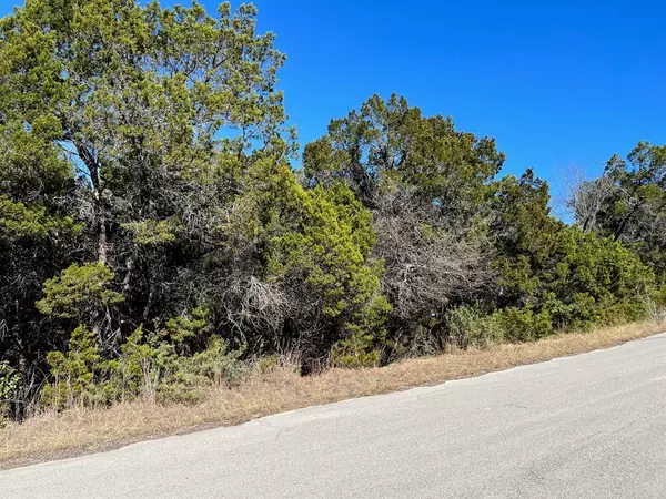 20902 Buena Vista, Lago Vista, TX 78645