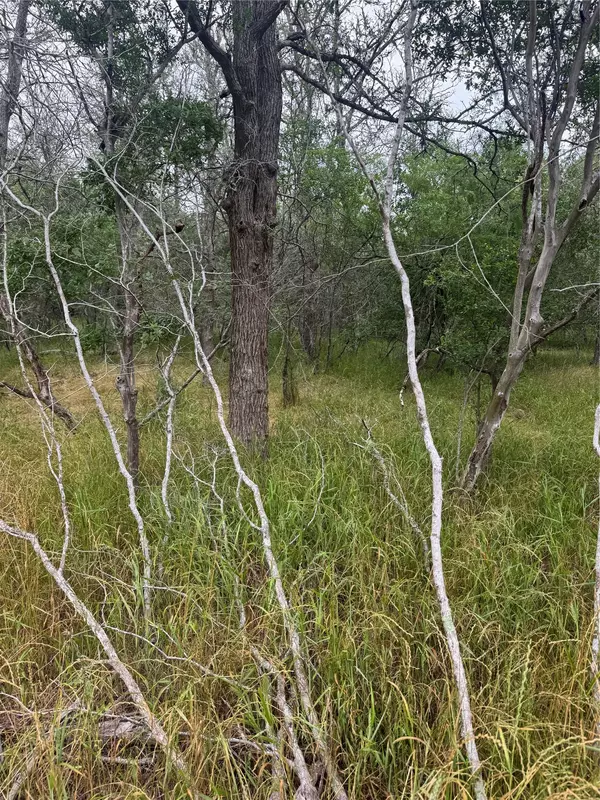 Bastrop, TX 78602,109 Hauula CT