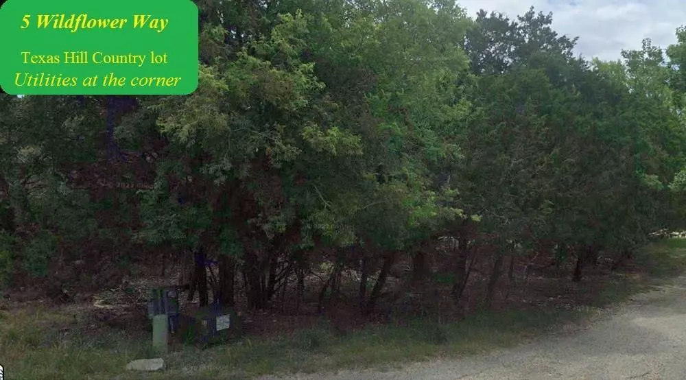 Wimberley, TX 78676,5 Wildflower WAY