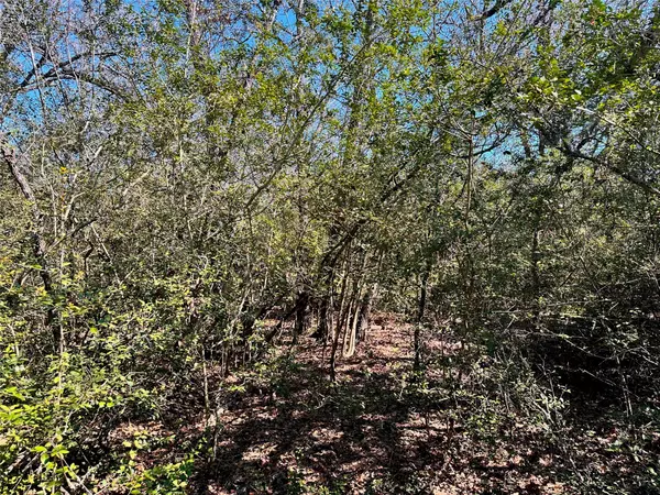 Waelder, TX 78959,Address not disclosed