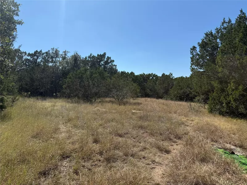 917 Roy Creek TRL, Dripping Springs, TX 78620
