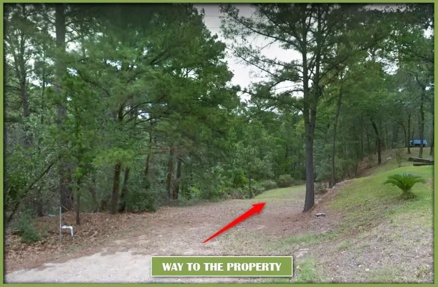 Bastrop, TX 78602,0 Pahalawe LN