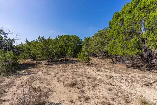 Lago Vista, TX 78645,2503 Whittier CV