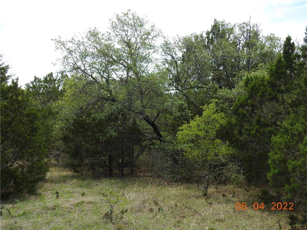 120 Blessing Ranch RD,  Liberty Hill,  TX 78642