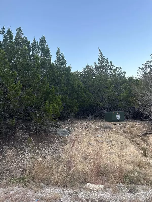 Lago Vista, TX 78645,21106 Needles CV