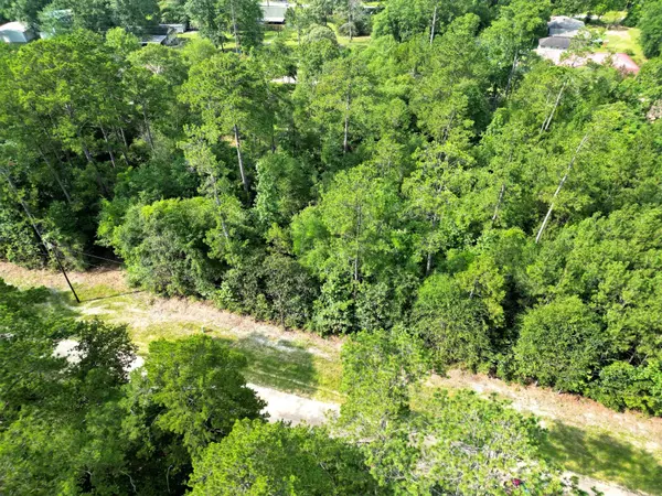 Woodville, TX 75979,Lot 8 Sir Ewaine DR