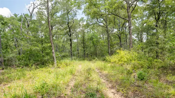 Buckholts, TX 76518,418-D County Road 405