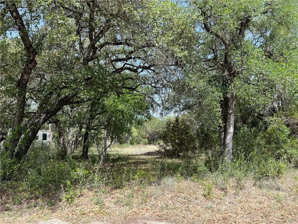 Spicewood, TX 78669,TBD Littlewin