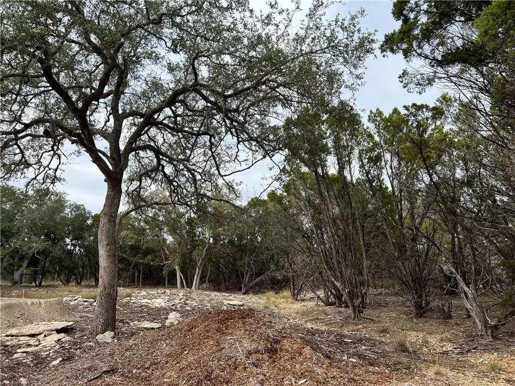 Wimberley, TX 78676,18 Mesquite TRL