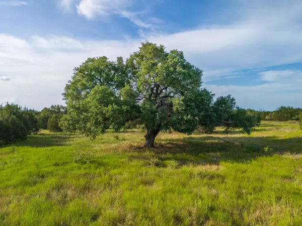 Lampasas, TX 76550,119 Pecan Creek DR