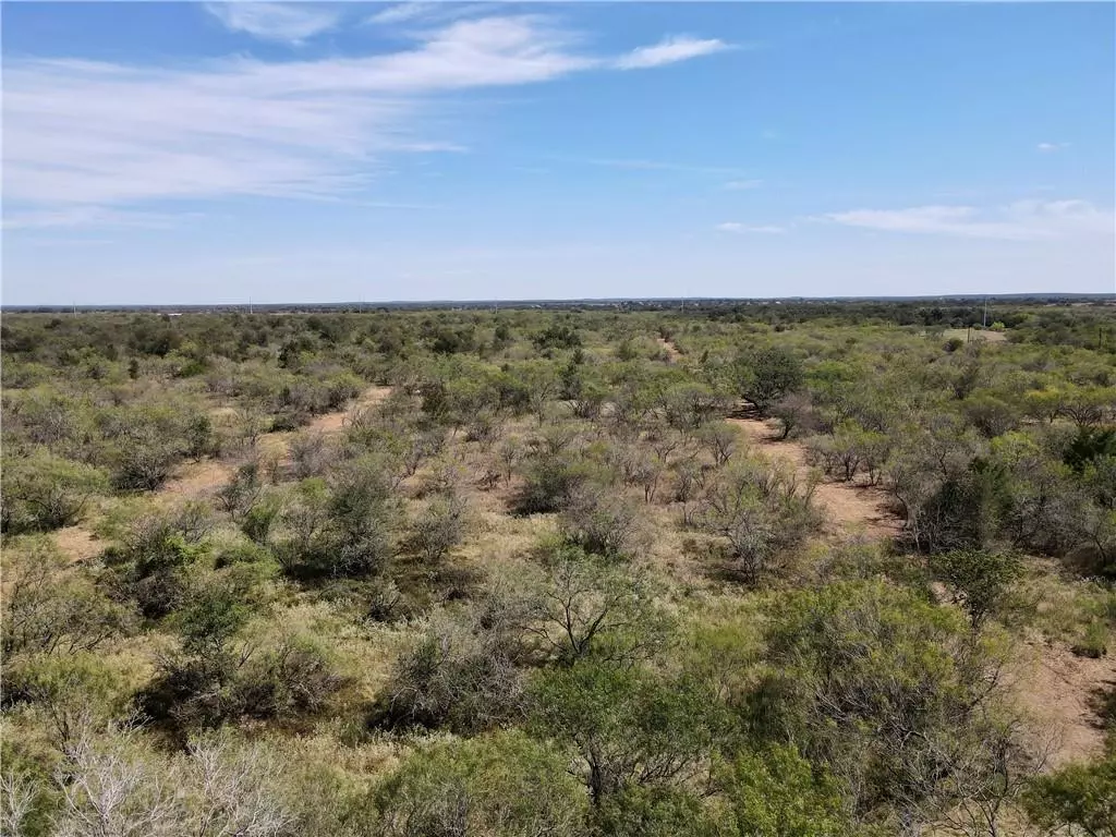 Kingsbury, TX 78638,TBD Lot 4 Gander Slough RD