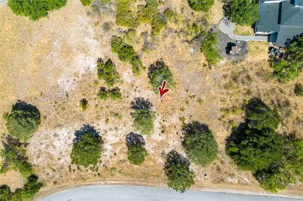 Spicewood, TX 78669,800 Wesley Ridge DR