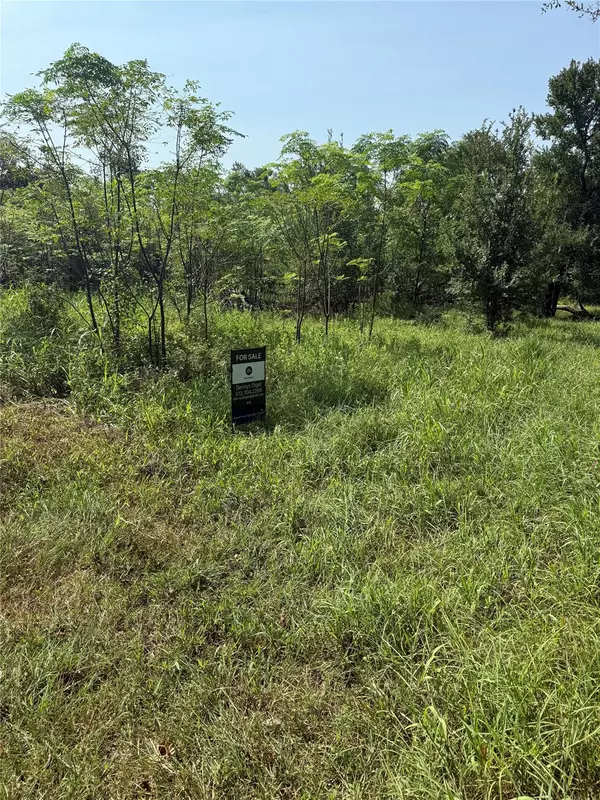 Cameron, TX 76520,1005 Henderson ST