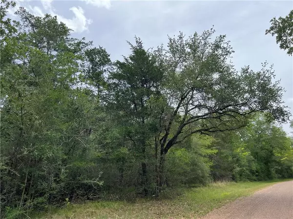 Tract 1 Krischke RD, Schulenburg, TX 78956