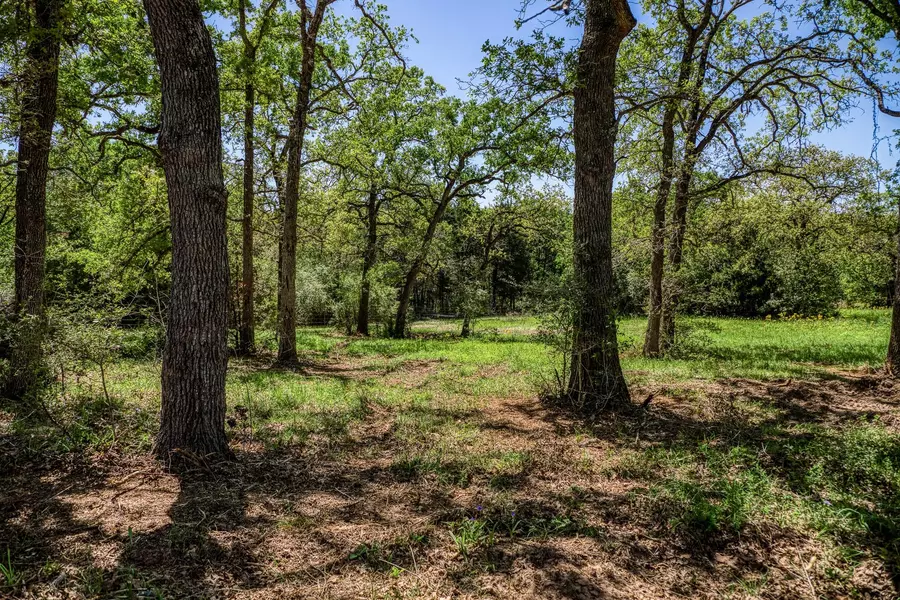 TBD (25.43 Acres) County Road 436, Dime Box, TX 77853