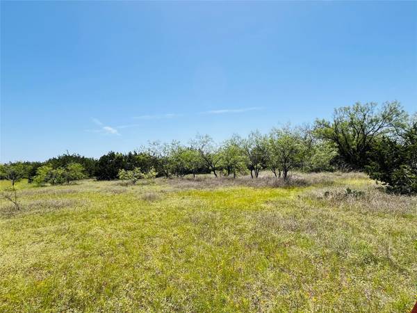 TBD - Tract 1 N Fm 243, Bertram, TX 78605