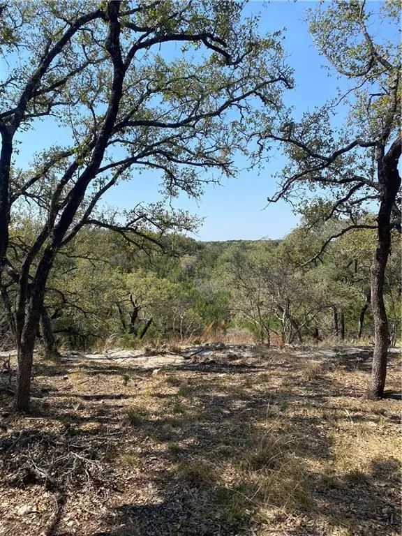 Dripping Springs, TX 78620,500 Stonegate LN