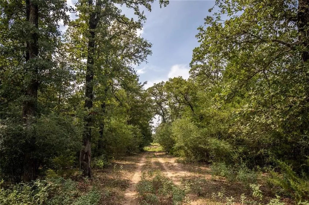 Rosanky, TX 78953,185 Hofferek RD