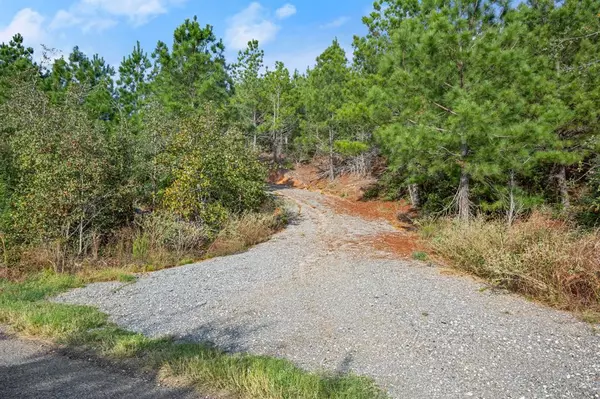 Smithville, TX 78602,TBD Winfield Thicket RD