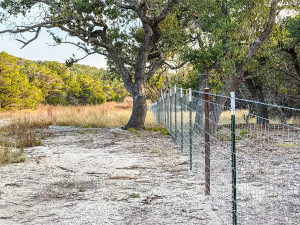 Canyon Lake, TX 78133,100 acres N Cranes Mill North RD