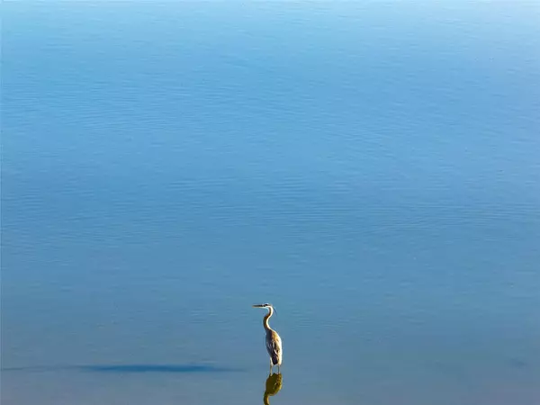 Richland Springs, TX 76871,TBD CR 260