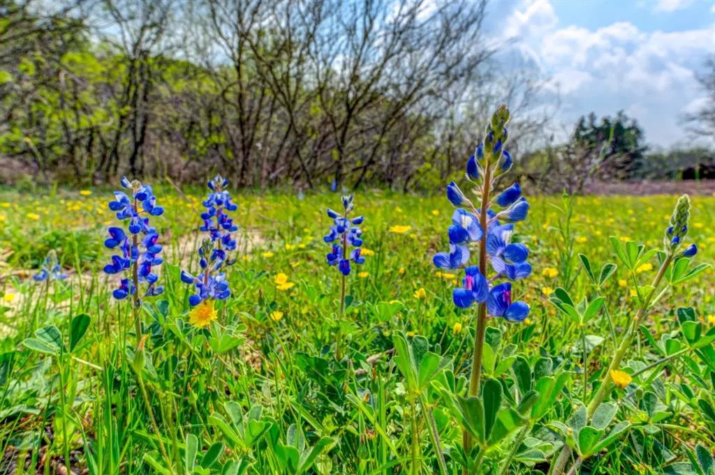 Muldoon, TX 78949,4710 W Old Lockhart RD