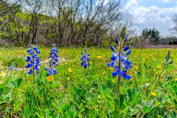 4710 W Old Lockhart RD, Muldoon, TX 78949
