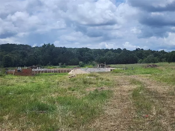 124 McNaughton DR,  Liberty Hill,  TX 78642