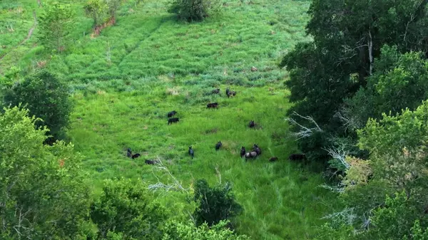 Somerville, TX 77879,Address not disclosed