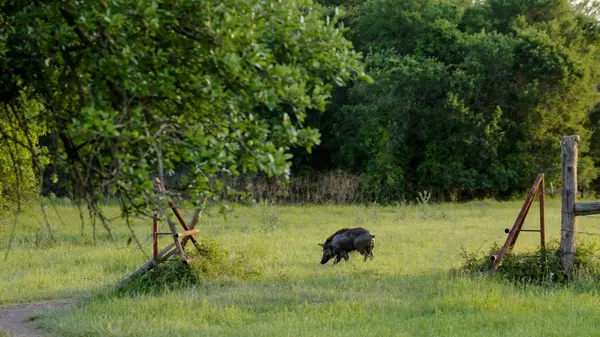 Somerville, TX 77879,Address not disclosed