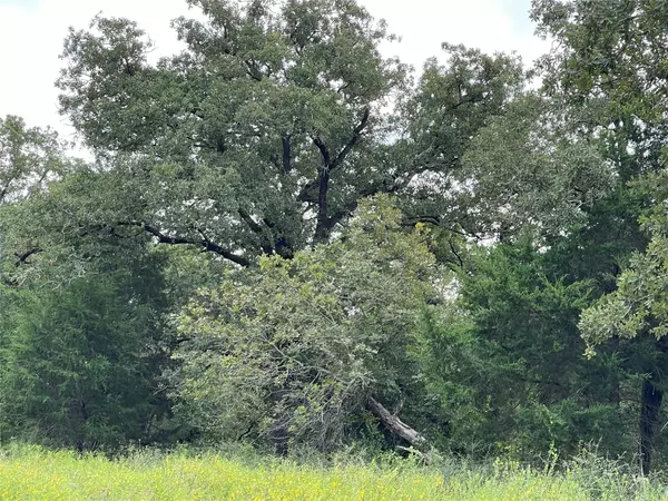 Rockdale, TX 76567,495 Cypress Trail LOOP