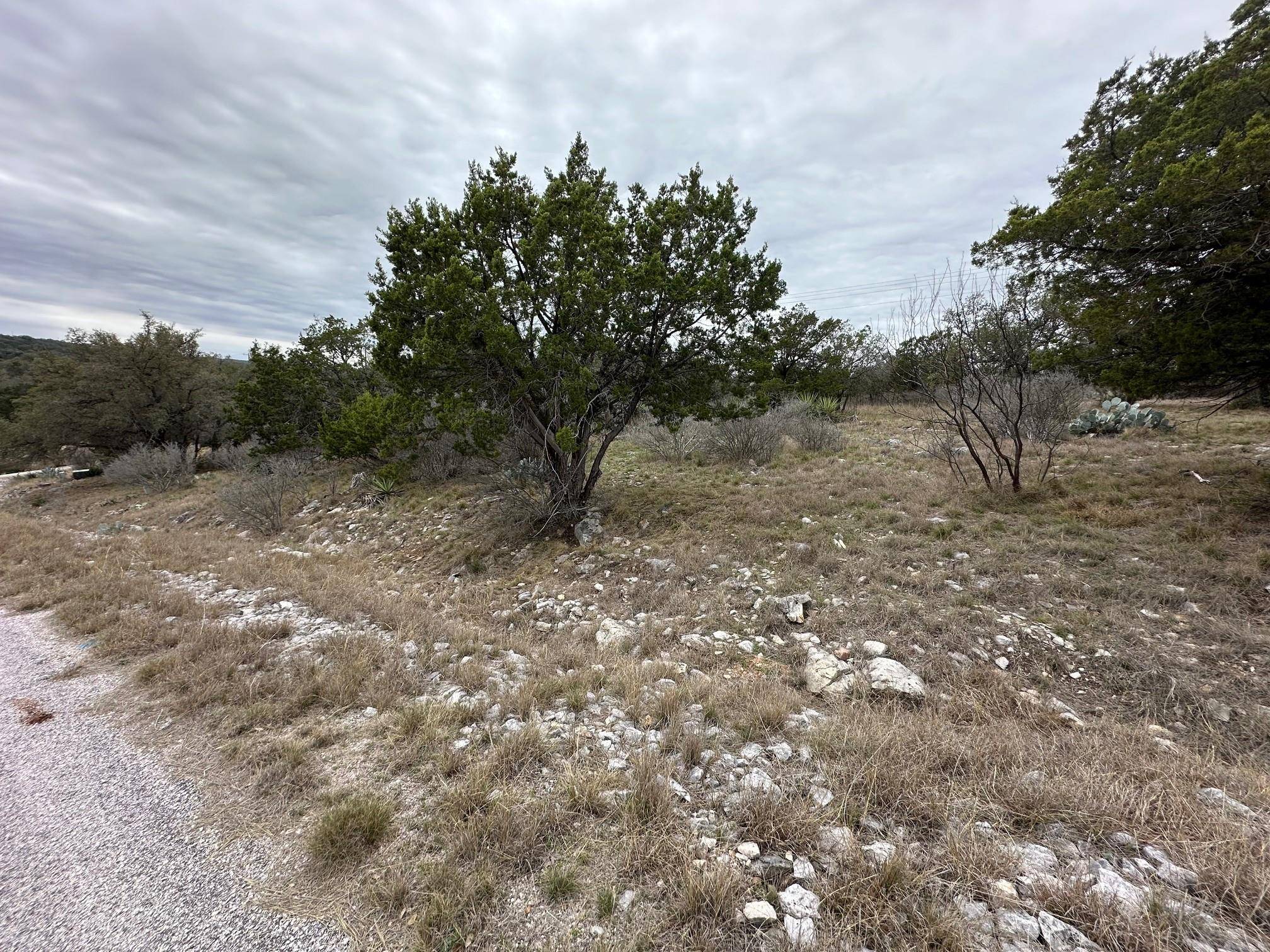 Horseshoe Bay, TX 78657,24152/24153 Hi Mesa ST