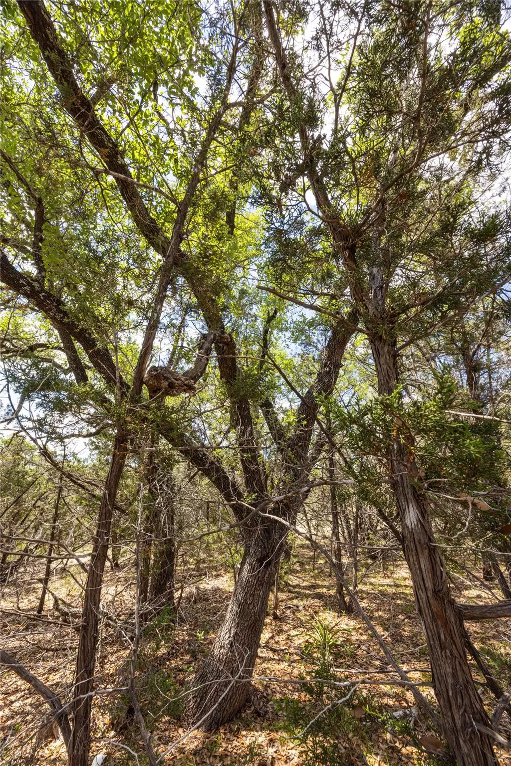 Wimberley, TX 78676,21 Sitting Bull RD