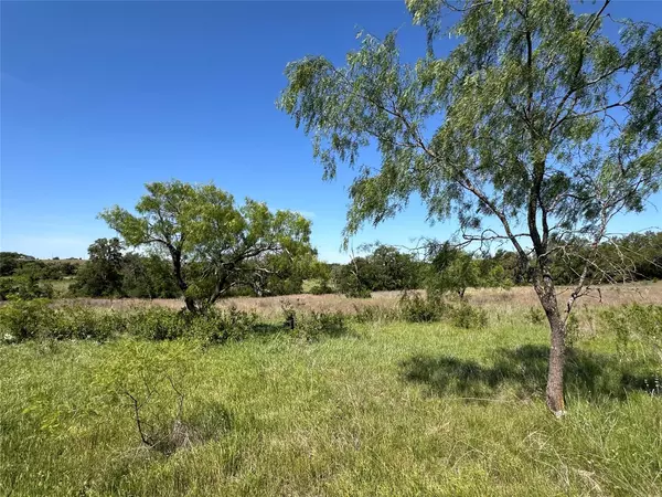 Bertram, TX 78605,Lot 53 Marvin LN
