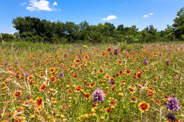 Liberty Hill, TX 78642,115 Peaceful Valley RD